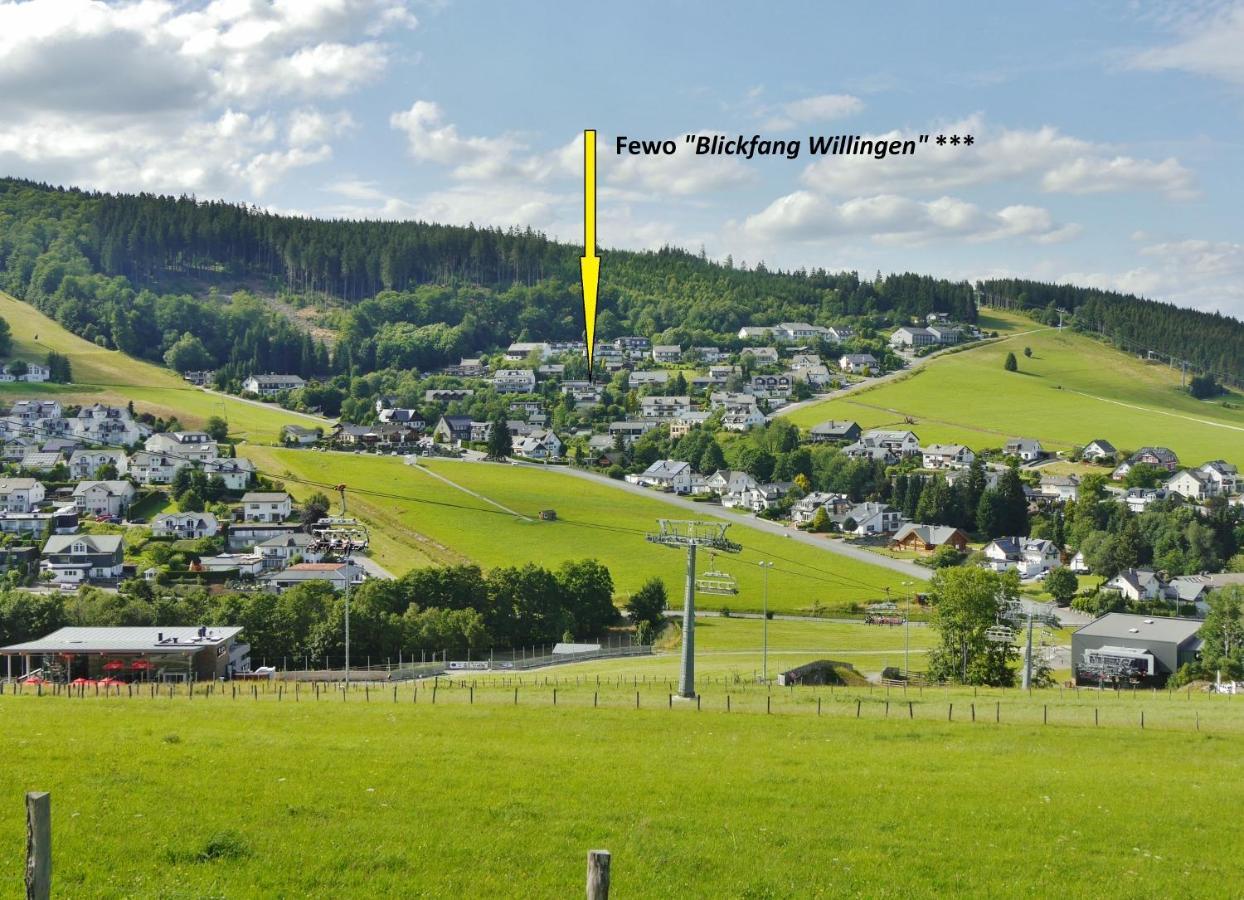 Komfort-Fewo Blickfang Willingen*** Вилинген Екстериор снимка