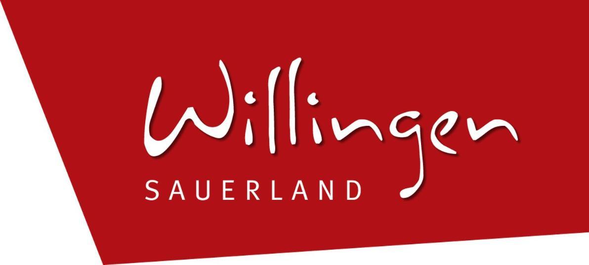 Komfort-Fewo Blickfang Willingen*** Вилинген Екстериор снимка